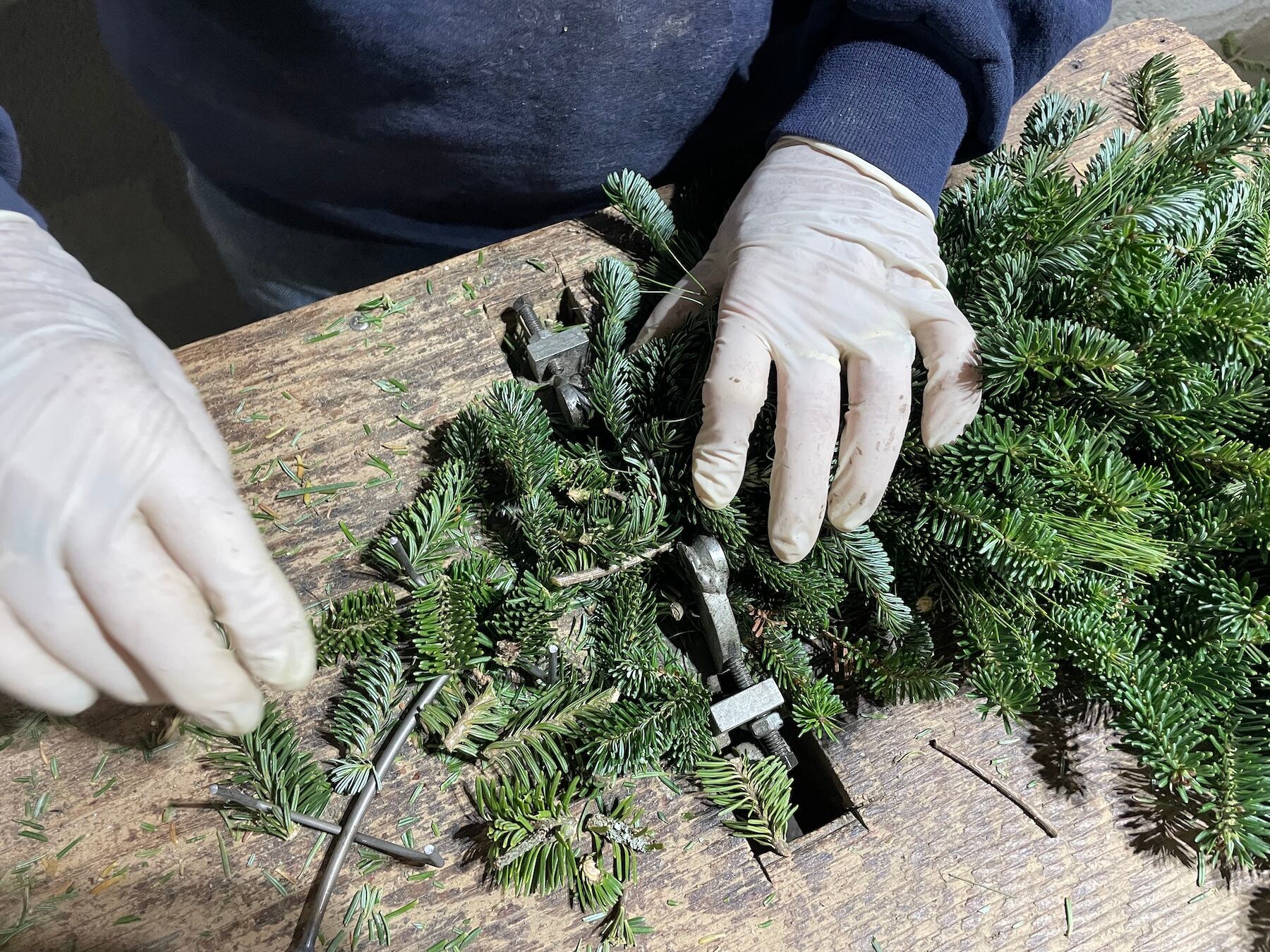 Braidwood Lions accepting pre-orders for Christmas greenery decorations — Aurora Community news