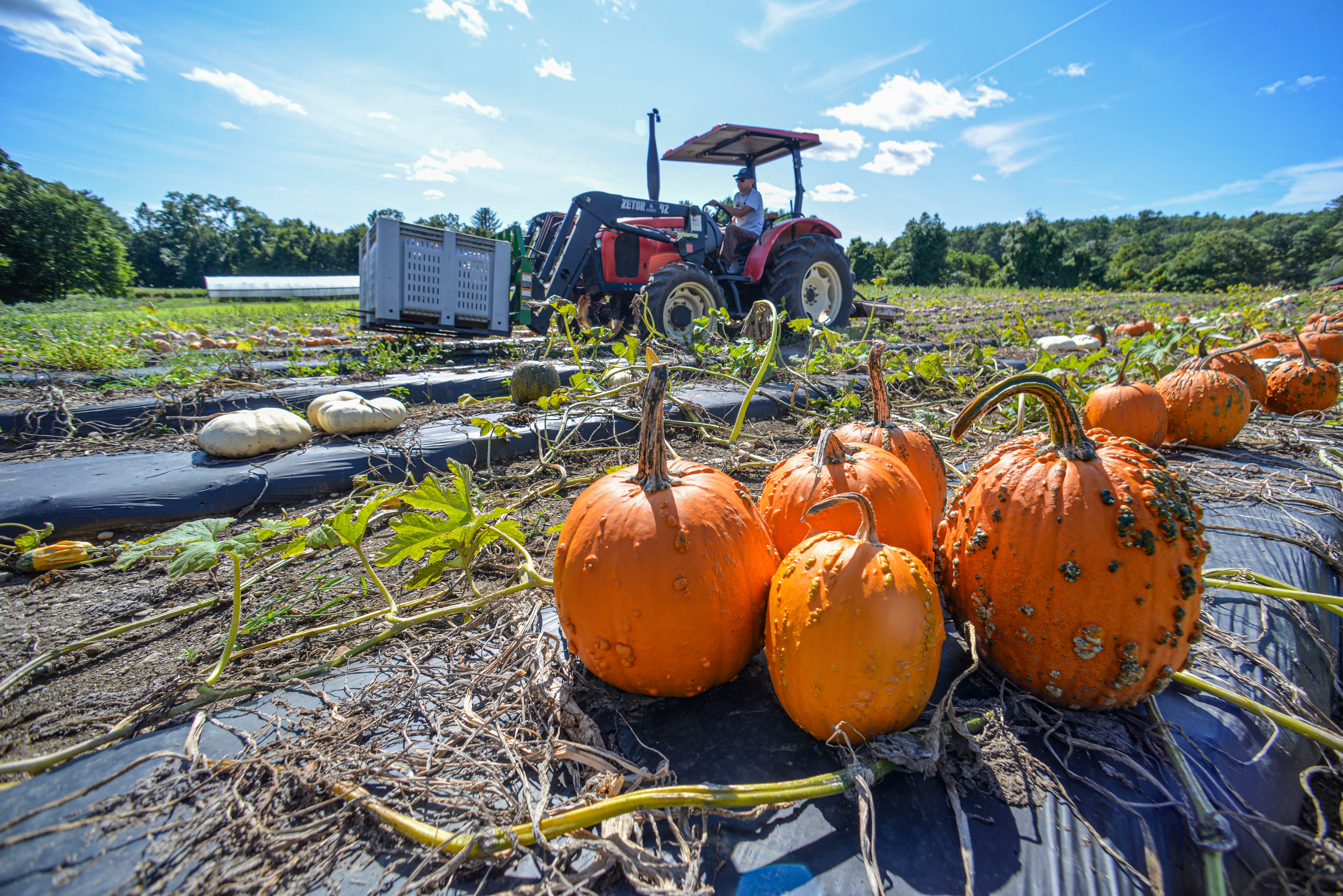 Breaking point: Rising costs grip ag economy — Aurora Arts news